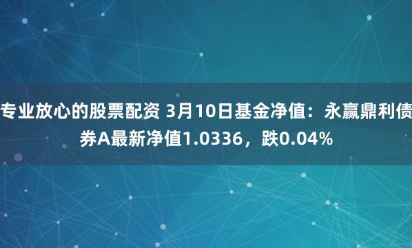 专业放心的股票配资 3月10日基金净值：永赢鼎利债券A最新净值1.0336，跌0.04%