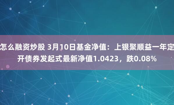 怎么融资炒股 3月10日基金净值：上银聚顺益一年定开债券发起式最新净值1.0423，跌0.08%