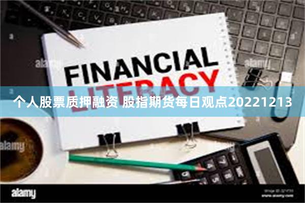 个人股票质押融资 股指期货每日观点20221213