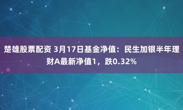 楚雄股票配资 3月17日基金净值：民生加银半年理财A最新净值1，跌0.32%